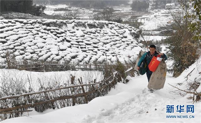 #（社会）（1）冰雪难阻投递路