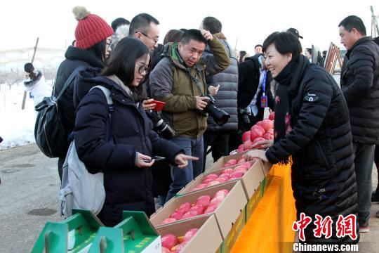 飘香海内外延安苹果成新“名片”