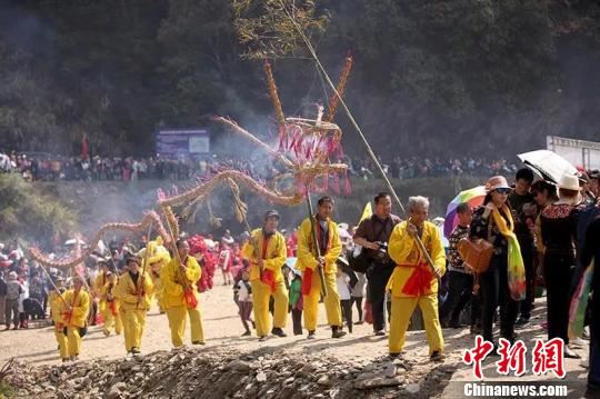 31日，安徽省休宁县板桥乡油菜花节开幕，图为人们进行民俗舞草龙表演。　樊成柱 摄