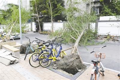 “狂野”天气刷爆四川人朋友圈：豆大冰雹 十级狂风