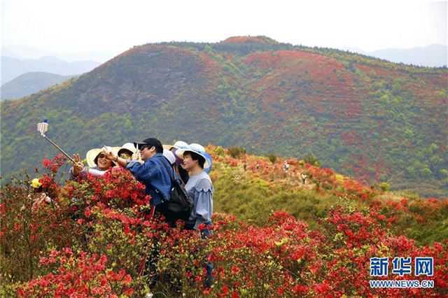 #（环境）（3）花开在四月