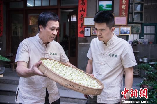 图为高家父子正在共同制作茉莉花茶。　李南轩 摄