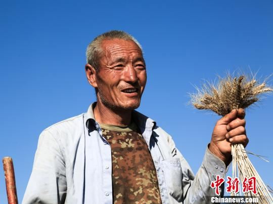 图为手握麦穗的农民。　张永鑫　摄