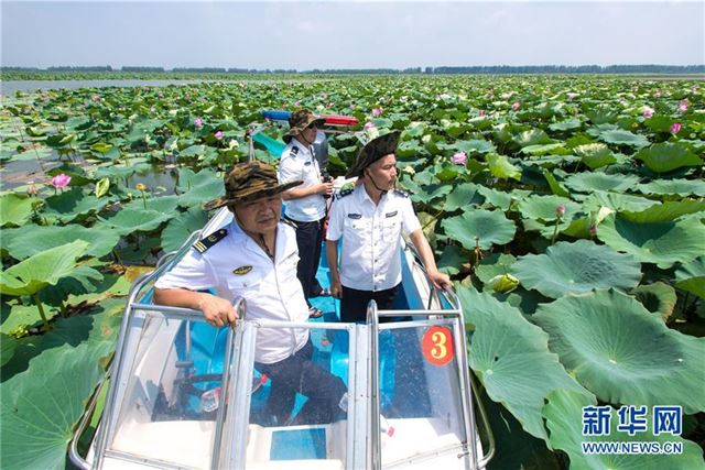 （图片故事）（4）守护一湖碧水——新时代的“洪湖护卫队”