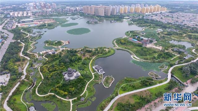 （环境）（1）废弃污水坑塘变身“城市绿肺”