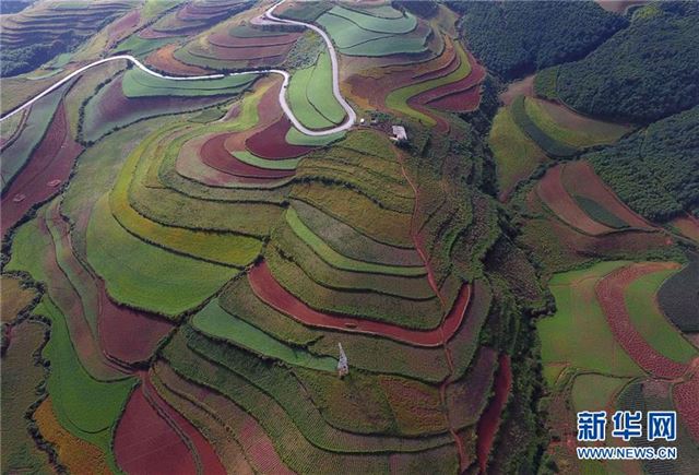 （美丽中国）（2）飞越东川红土地