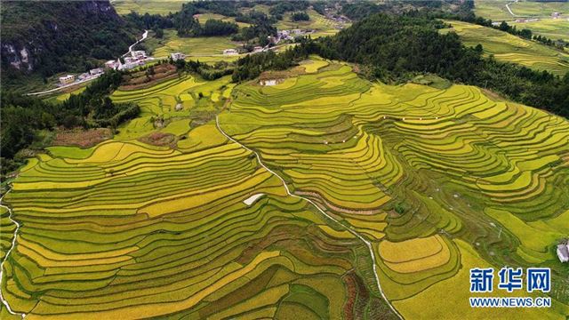 #（视·觉）（3）梯田秋裳