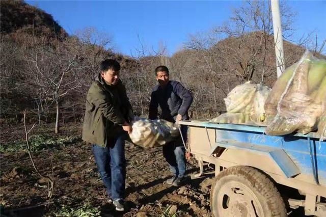 16231729781179413_78.jpg 16231729781179413_78.jpg