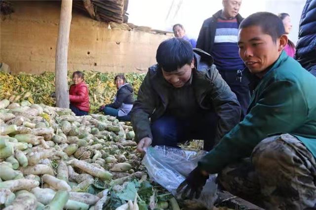 16251654447693823_78.jpg 16251654447693823_78.jpg