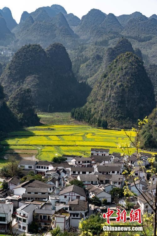 贵州兴义万峰林万亩油菜花竞相开放