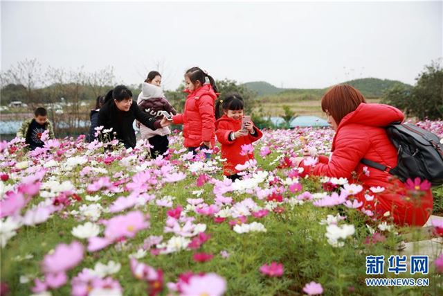 #（新华视界）（3）广西钦州：格桑花开迎客来