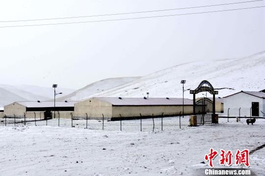 图为建在扎罗家草场上的羔羊繁育基地。　陈文年 摄