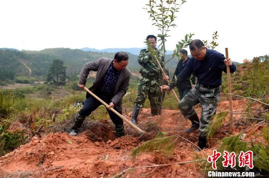 福建长汀水土流失治理精准治理深层治理