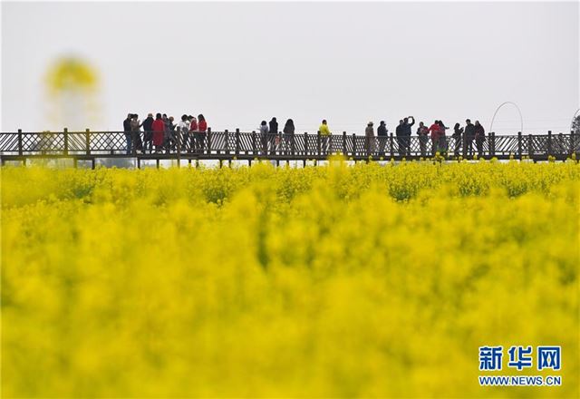 （社会）（2）四川广汉：“以花为媒”发展乡村旅游