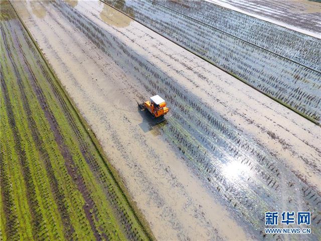 #（社会）（1）湖南双峰：天气回暖 春耕春播忙