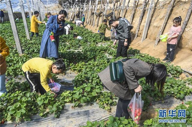 （社会）（1）河北广阳：“农业旅游”引客来