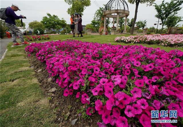 （社会）（2）花开月浦