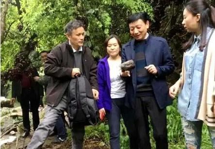 湖北武穴：李新桥到龙门花海同李宏伟畅谈旅游板块恢复元气！