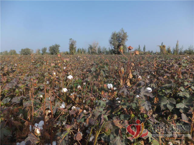 17144259076345107_86.png 17144259076345107_86.png