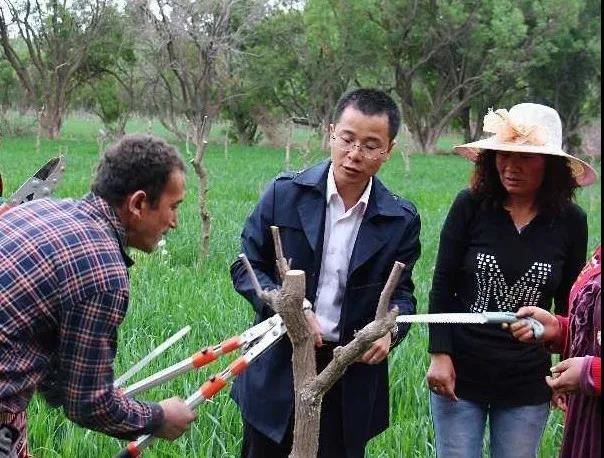 23523706152440851_88.jpg 23523706152440851_88.jpg