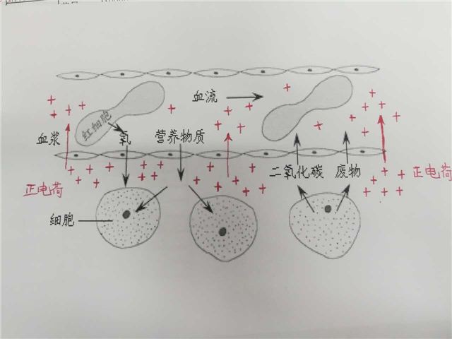 https://wx.qq.com/cgi-bin/mmwebwx-bin/webwxgetmsgimg?&MsgID=2973791716500432829&skey=%40crypt_6828d8bf_984170ab706a78277224692fd2143881