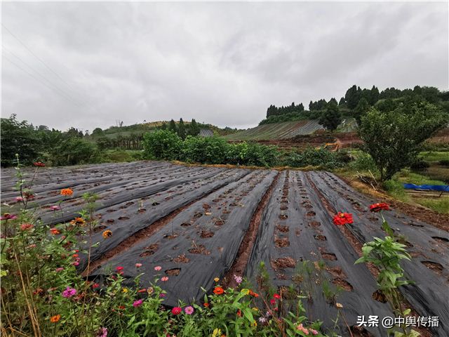 重庆电视台励志情感剧《温度》将在内江市东兴区郭北镇青台村拍摄