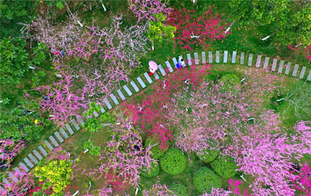 17273503151613901_117.png 17273503151613901_117.png