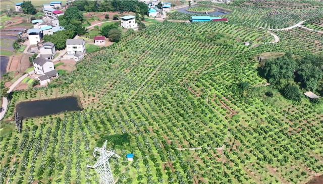 13160031092524875_106.jpg 13160031092524875_106.jpg