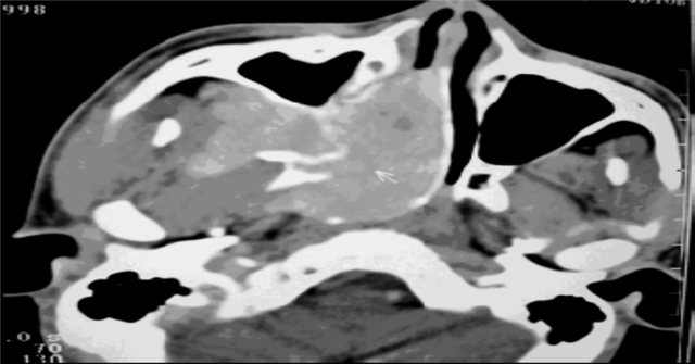 09420691869284269_106.png 09420691869284269_106.png