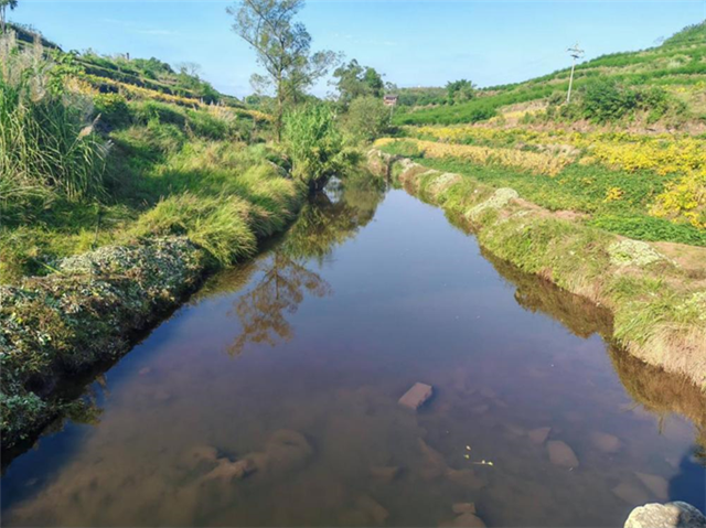 16485882531833404_106.png 16485882531833404_106.png