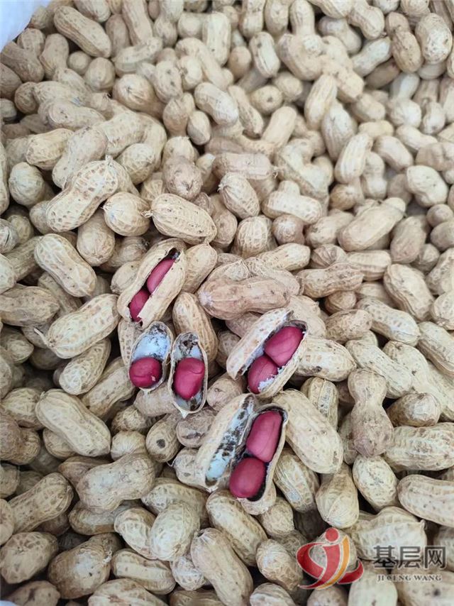 08300353266493645_75.jpg 08300353266493645_75.jpg