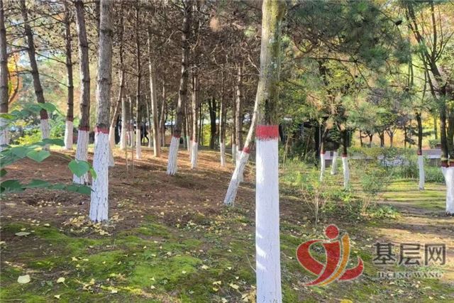 09380753594699079_68.jpg 09380753594699079_68.jpg