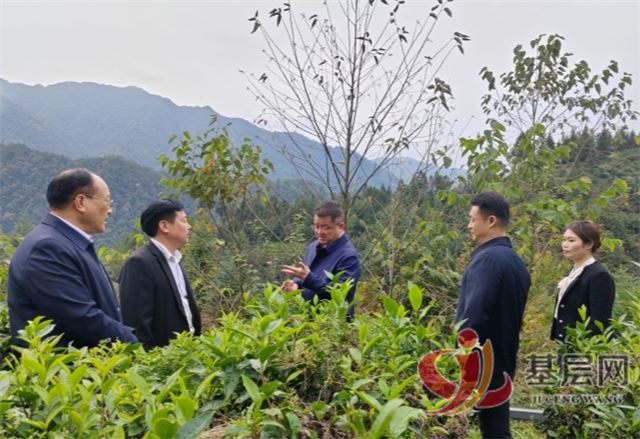 08121032446552764_75.jpg 08121032446552764_75.jpg