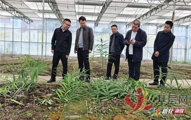 16164734129198179_75.jpg 16164734129198179_75.jpg