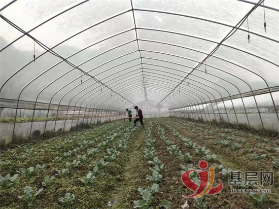 14391520219337589_92.png 14391520219337589_92.png