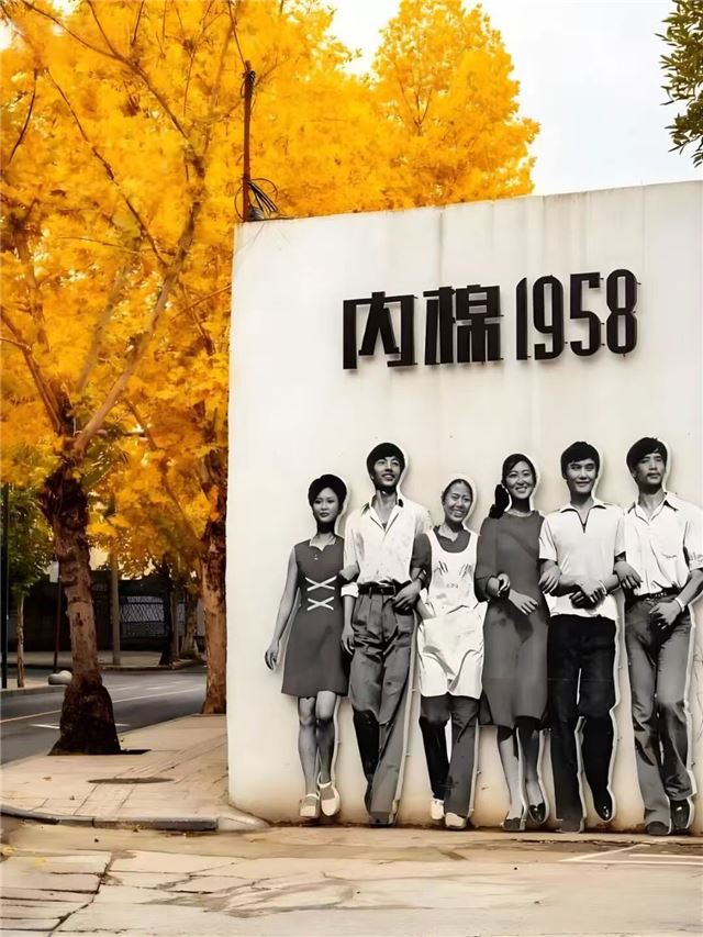 20430127319512065_106.jpg 20430127319512065_106.jpg