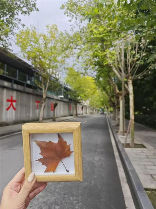 20434806475298297_106.jpg 20434806475298297_106.jpg