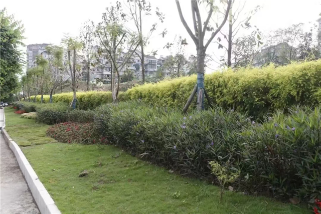 10030013404508914_106.png 10030013404508914_106.png