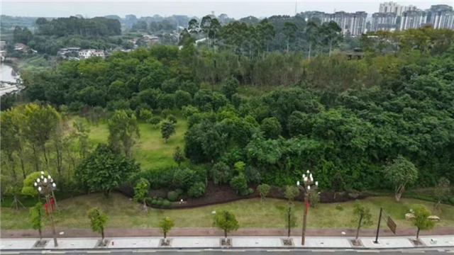 1003200831443805_106.png 1003200831443805_106.png