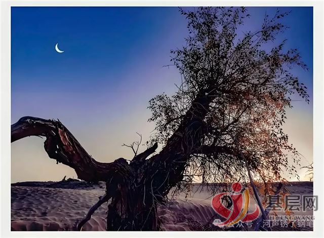 23501150666907052_75.jpg 23501150666907052_75.jpg