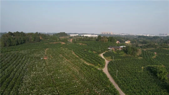 17125528512542159_106.png 17125528512542159_106.png