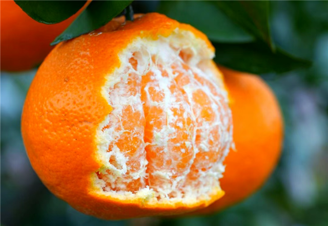 17131655698799096_106.png 17131655698799096_106.png