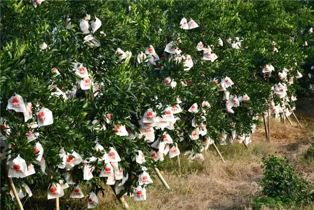 17134000044390160_106.png 17134000044390160_106.png