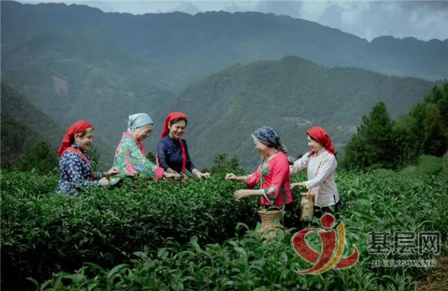 11232113021620013_75.jpg 11232113021620013_75.jpg