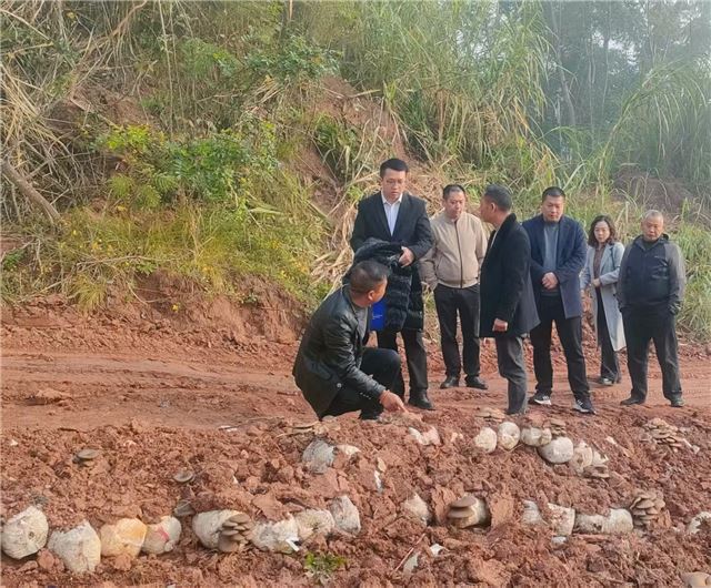 1007400246387330_106.jpg 1007400246387330_106.jpg