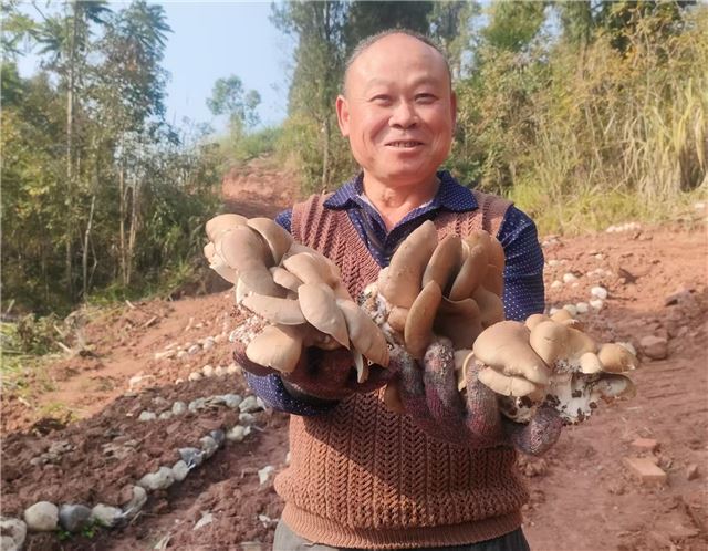 10083129465461960_106.jpg 10083129465461960_106.jpg