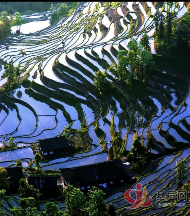 10322437741104574_75.jpg 10322437741104574_75.jpg