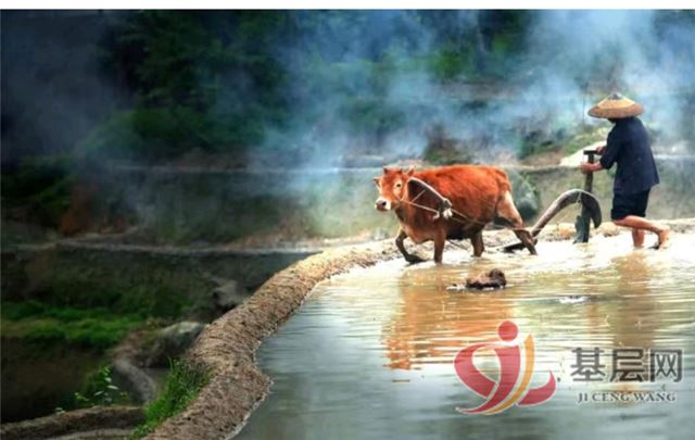 10325968497053373_75.jpg 10325968497053373_75.jpg