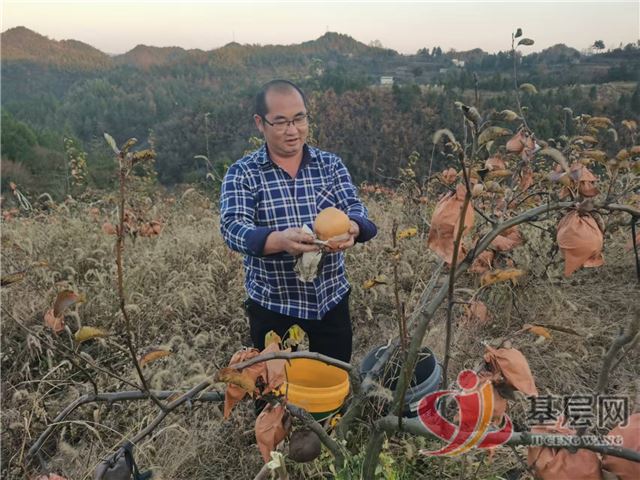 16543354455728730_75.jpg 16543354455728730_75.jpg