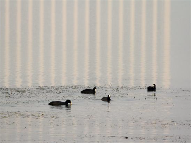 20390045189226393_106.png 20390045189226393_106.png